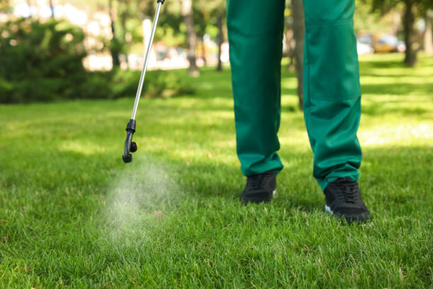 Reliable Long Beach, IN Pest Control Solutions