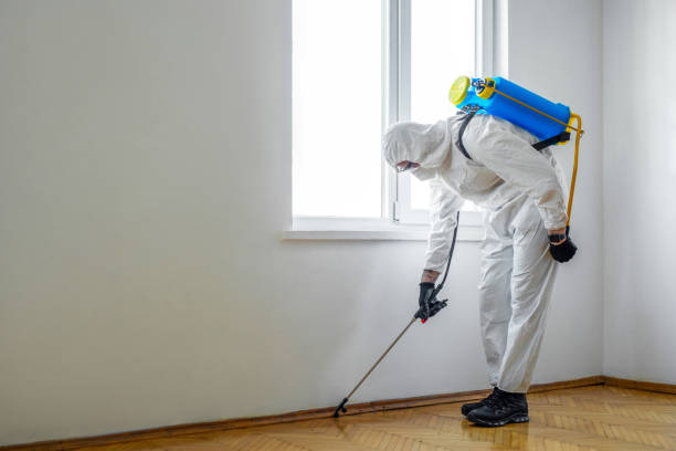 Pest Control Cost in Long Beach, IN