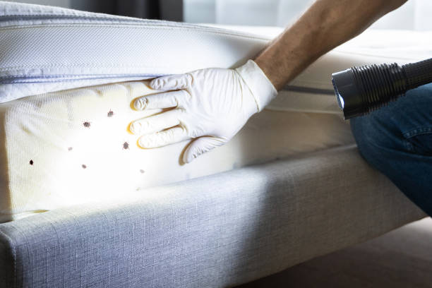Best Pest Prevention Services  in Long Beach, IN